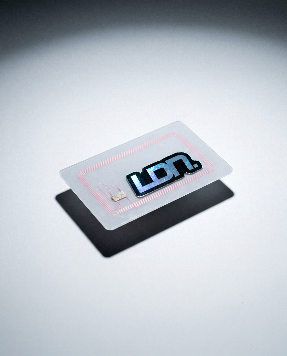Website Card (Exclusive) [Premium Pack]